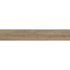 20x120 Foresta Quercia Гранит керамический