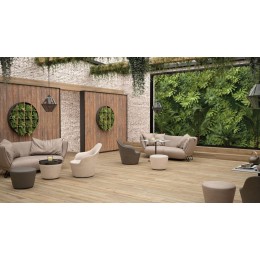 60*60/2 Antid Woodvile Natural Гранит керамический