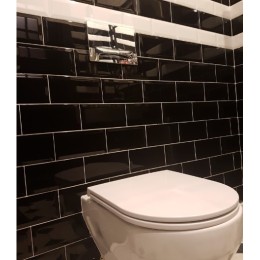 Керамическая плитка Biselado Blanco Brillo (blanco biselado bx) 10x20 см