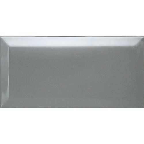 Керамическая плитка Dar Ceramics Biselado Plata Brillo 10x20