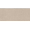 Настенная плитка глазурованная Boost Natural Ash 50X120