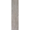 Керамогранит Неглазурованный Axi Silver Fir  22,5x90