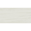 Керамогранит Неглазурованный Marvel Stone Bianco Dolomite 30x60