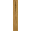 Керамогранит Неглазурованный Exence Amber 20x120