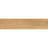 15LE0027 Керамогранит Leo_GT Медовый 15x60 _ 1\67,5