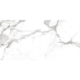 Керамогранит Victory Белый 30x60 1\46,08