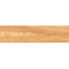 150R0027 Плитка грес глаз. Ortus GT Медовый 15*60 _ 1 \67,5