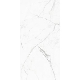 Керамогранит Elegant Statuario Белый 60x120 полированная 1\43,2