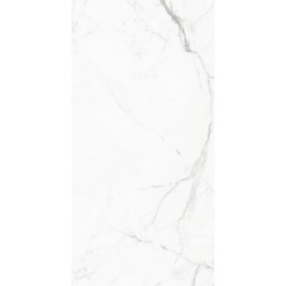 Керамогранит Elegant Statuario Белый 60x120 полированная 1\43,2