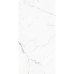 Керамогранит Elegant Statuario Белый 60x120 полированная 1\43,2