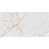 GT136VG Плитка облиц. Aventura GT Серый 50*25 _ 1 \74,25