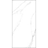 GT120600203MR Плитка грес глаз. Marmo_GT Белый 60*120 _ 1 \43,2